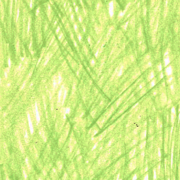 Image a1