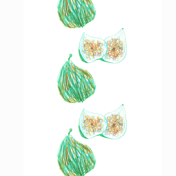 Image a5