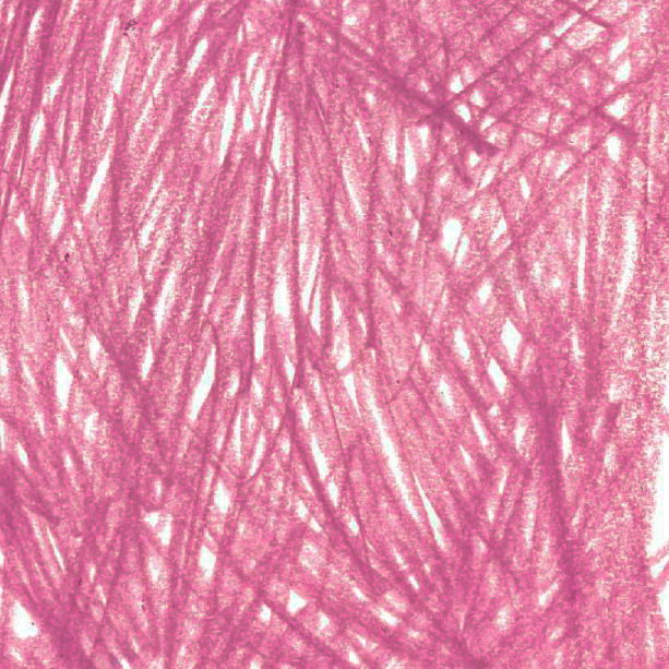 Image a2